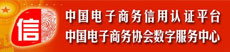 中国电子商务协会数字服务中心